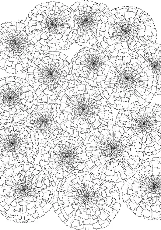 Prachtvolle Studentenblumen im Bund