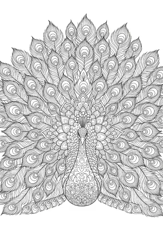 Pfauen-Mandala mit großem Federrad