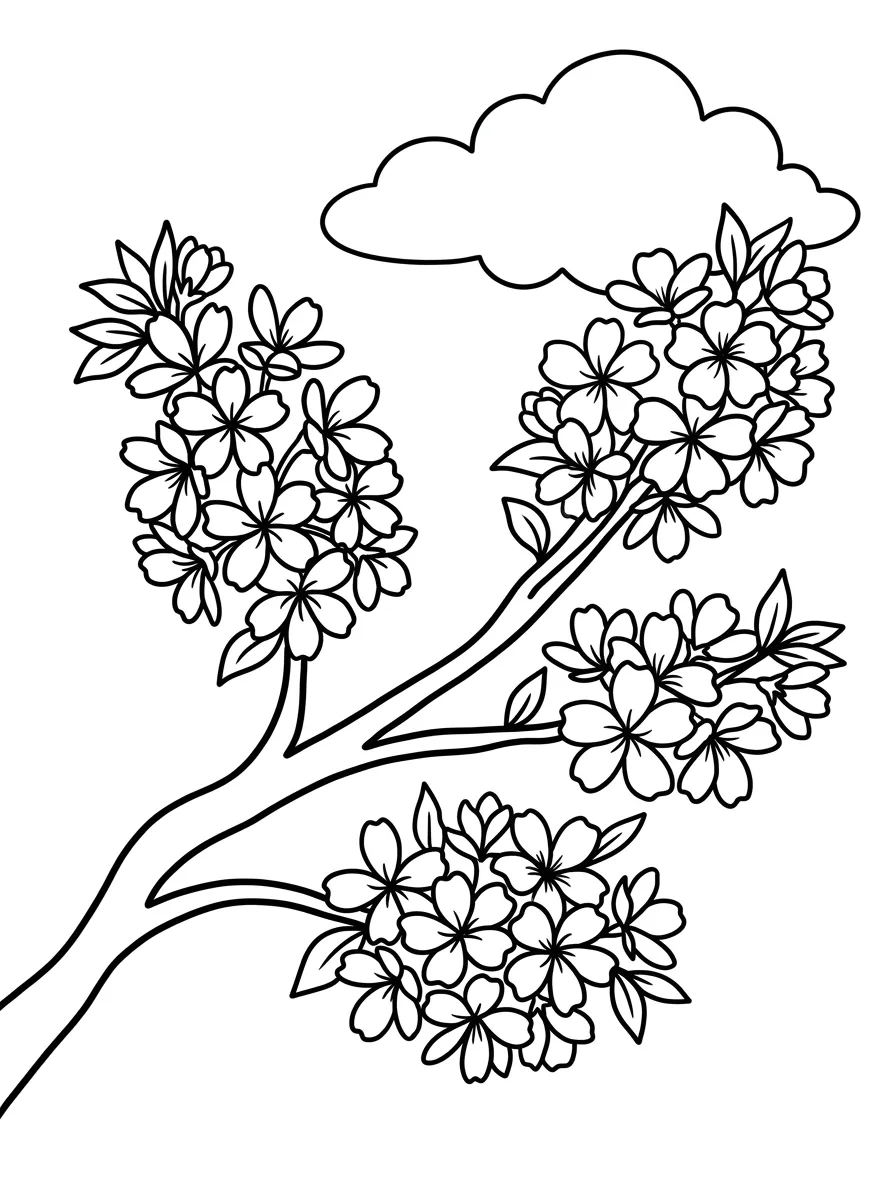 Blühender Kirschblütenzweig