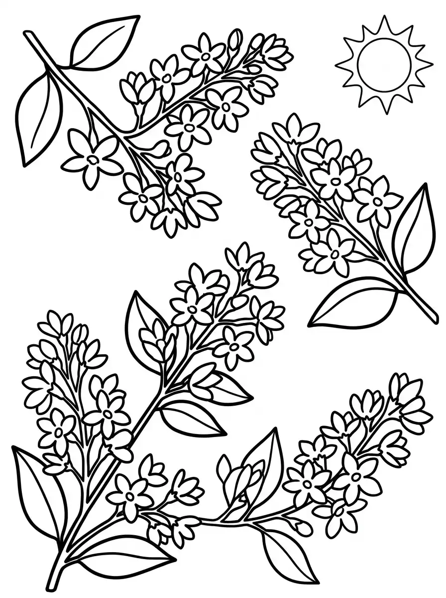 Ausmalbilder Blumen mit Jasmin
